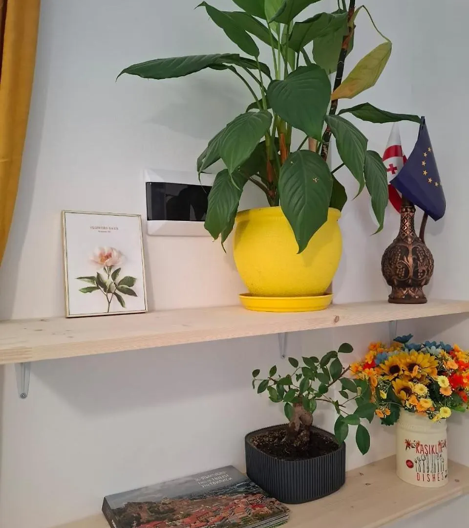 Style Apartment With Courtyard Tbilisi Georgia
